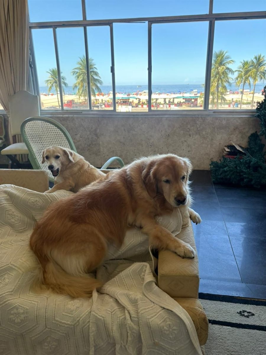 Tootsie e Foquinha juntos na varanda com vista para a praia